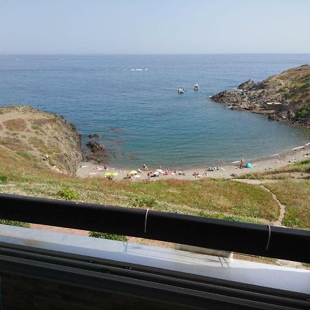 Apartamento Portvendres Sea View Port Vendres Exterior foto