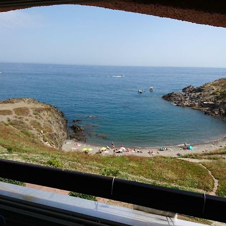 Apartamento Portvendres Sea View Port Vendres Exterior foto