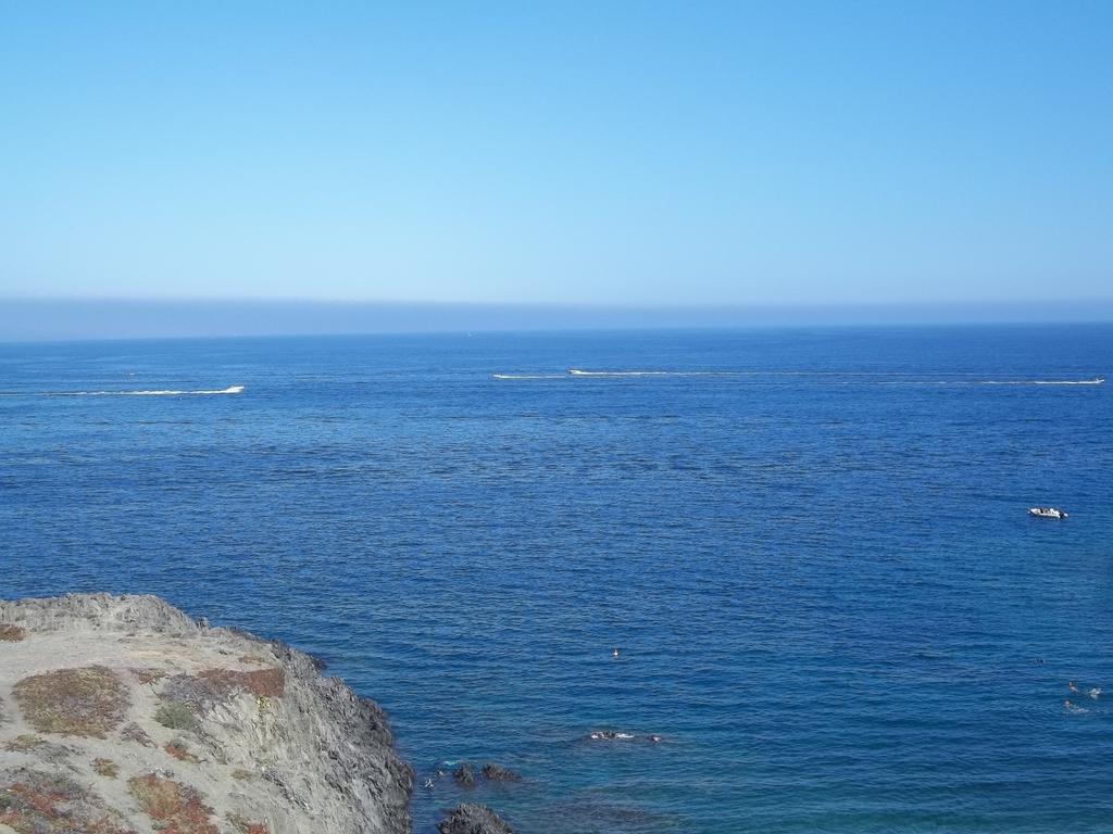 Apartamento Portvendres Sea View Port Vendres Exterior foto