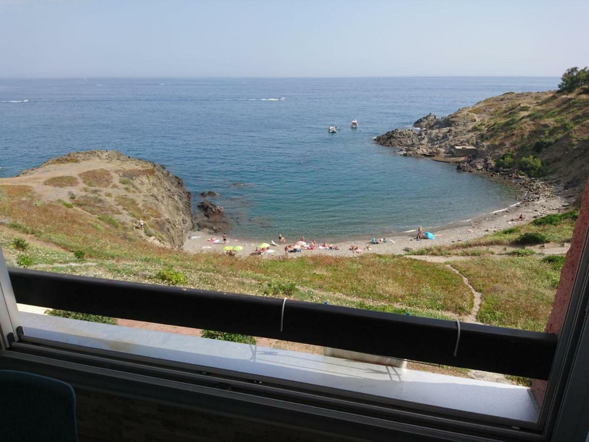 Apartamento Portvendres Sea View Port Vendres Exterior foto