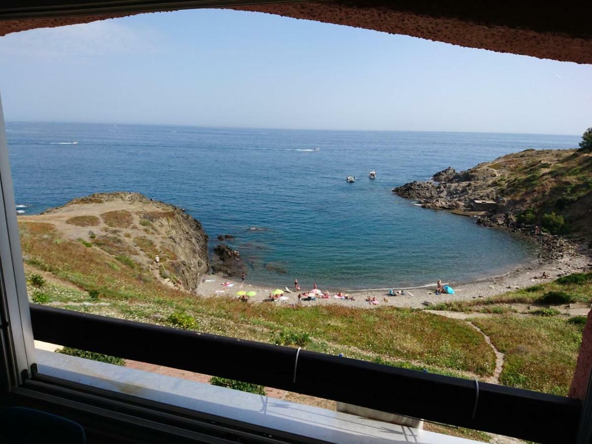 Apartamento Portvendres Sea View Port Vendres Exterior foto